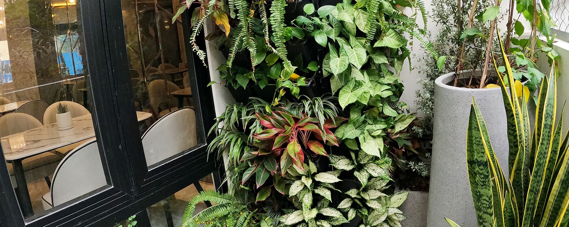 Vị trí Đình Phát
